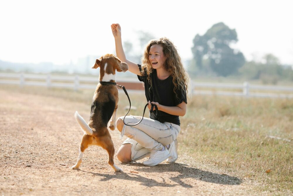 κορίτσι δίνει λιχουδιές στον σκύλος της για να τον εκπαιδεύσει