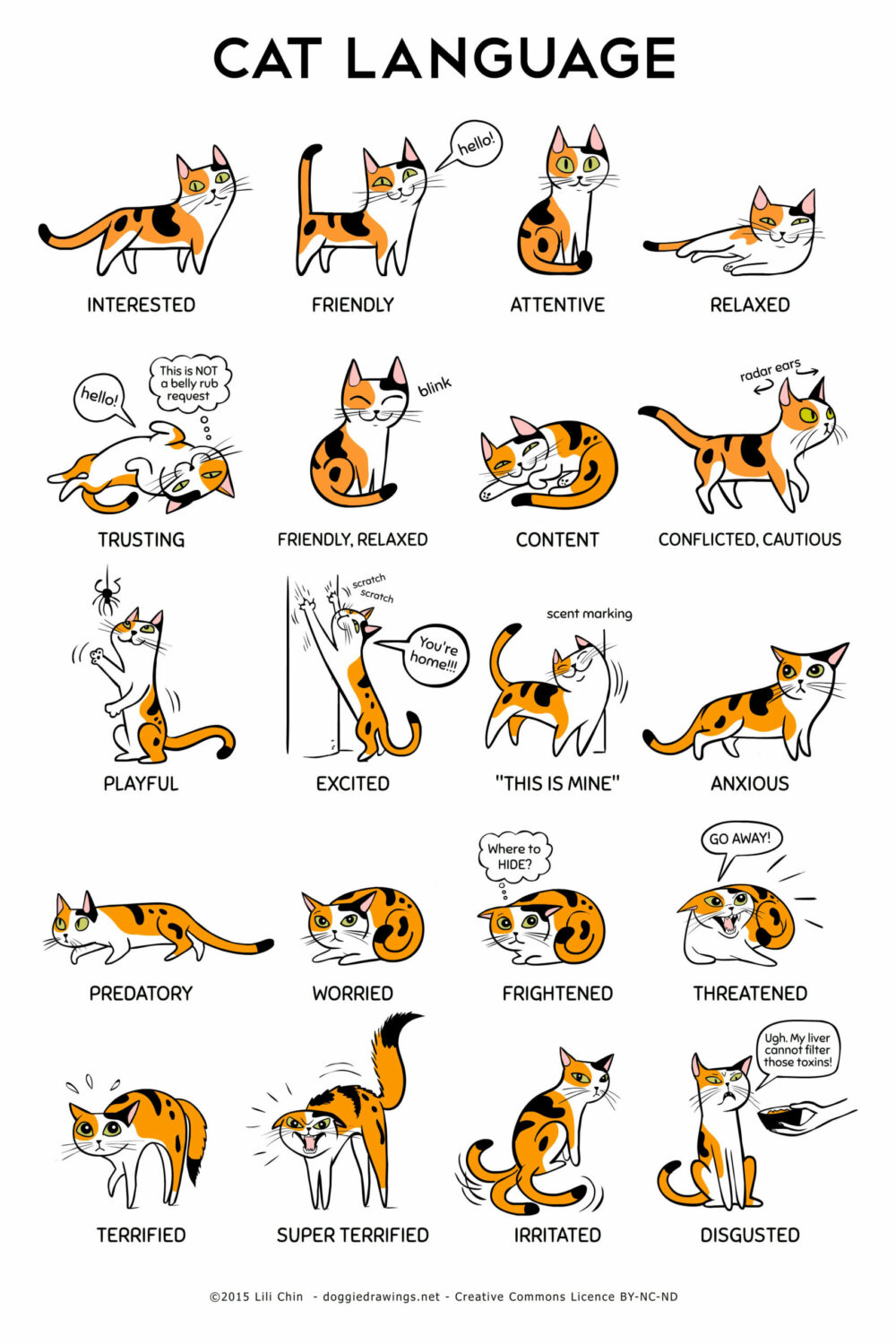 γραφικό για γλώσσα του σώματος γάτας 