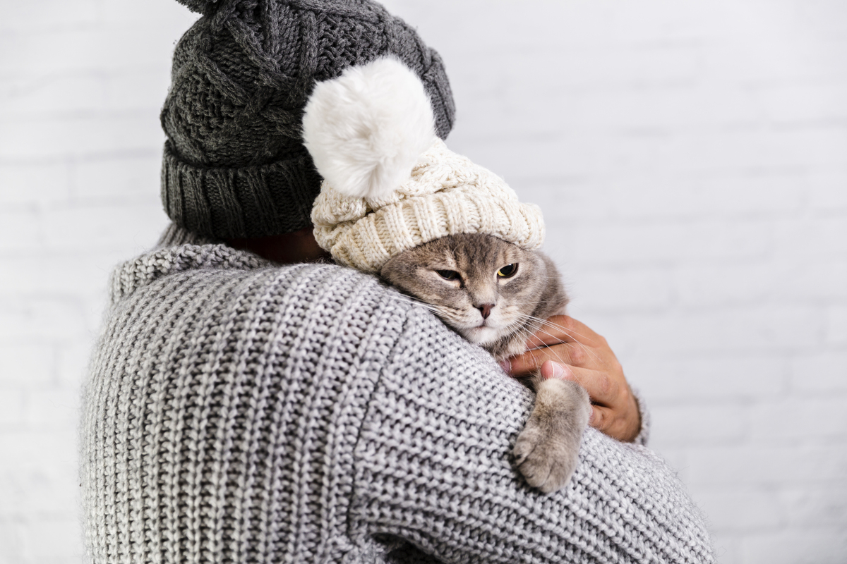 ζεστή γάτα - γάτα αγκαλιά - mojestik