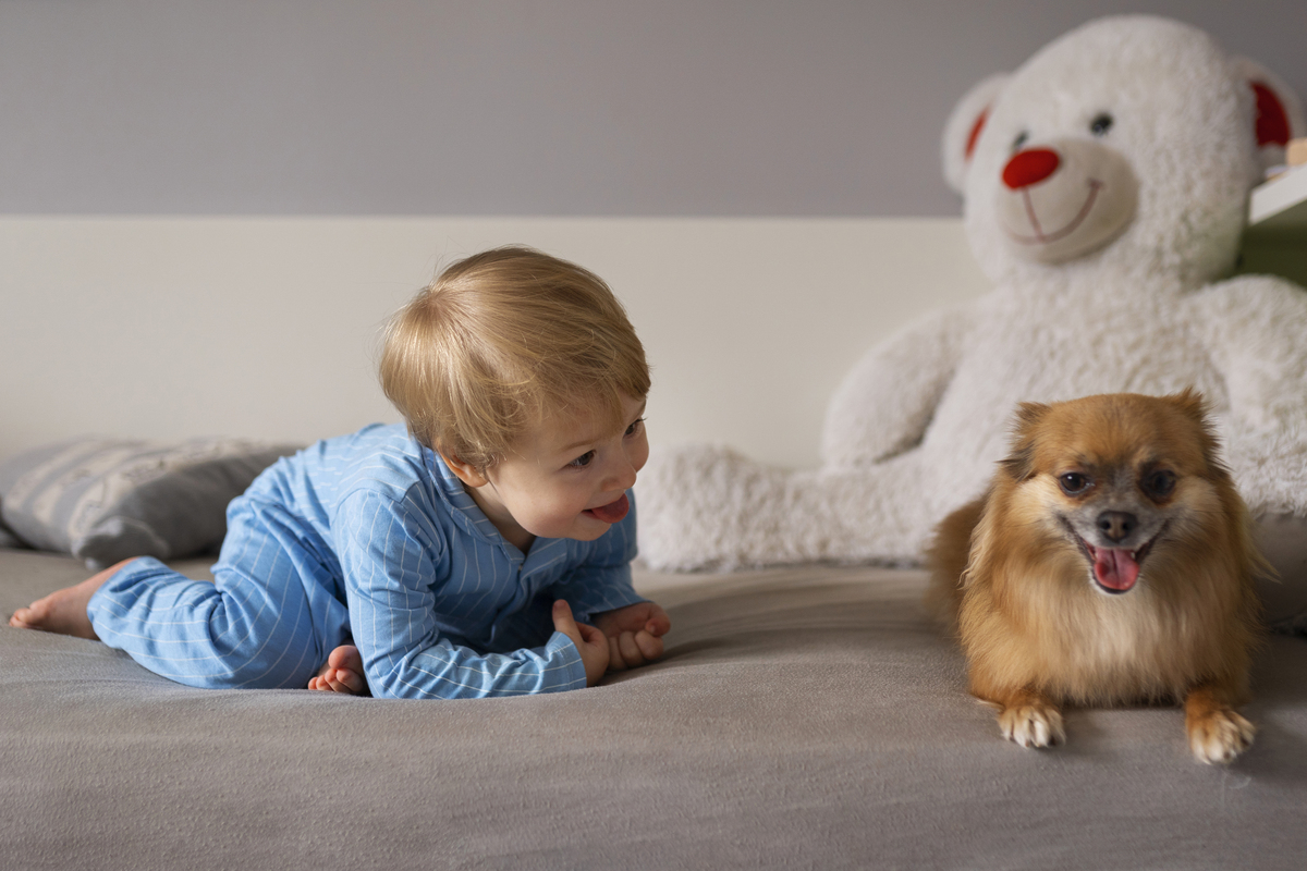 mojestik - γνωρίσετε το μωρό σας στον σκύλο σας_2