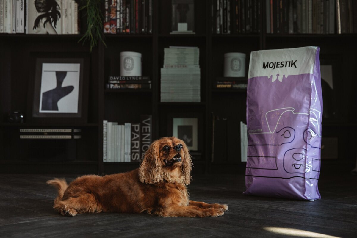 mojestik - κρυοπαγήματα - Gluten Free Light & Senior