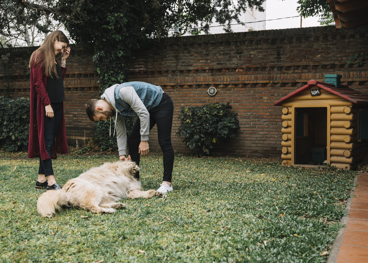 mojestik - σπίτι σκύλου - σπιτάκι σκύλου