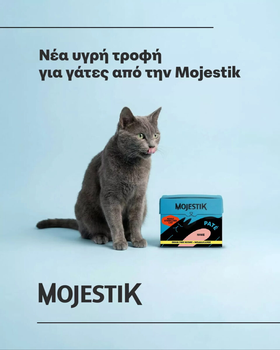mojestik - γατοτροφή με μπακαλιάρο - υγρή τροφή με μπακαλιάρο