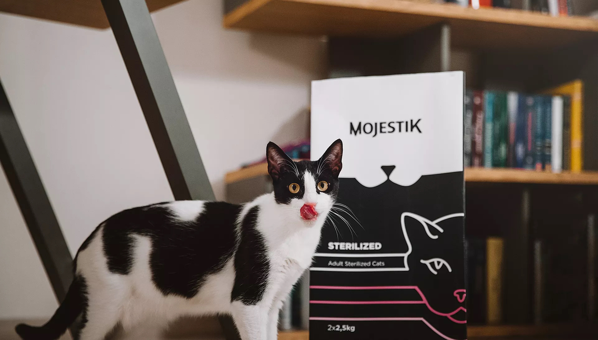 mojestik - γάτα έχει στρες - τροφή για γάτες